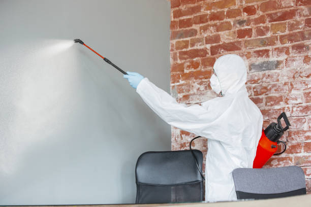 Best Forensic Mold Investigation  in Pecan Acres, TX