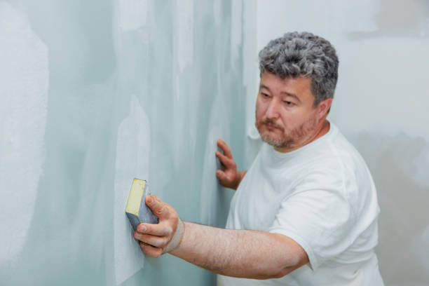 Reliable Pecan Acres, TX Mold Removal Solutions