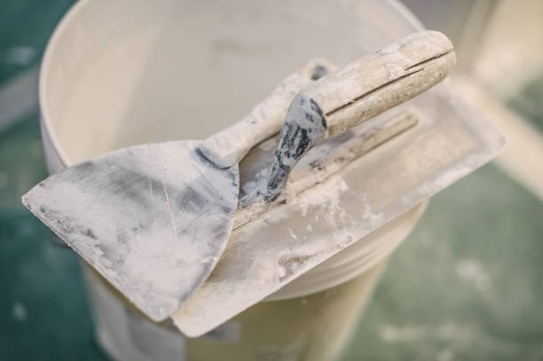 Asbestos and Lead Testing During Mold Inspection in Pecan Acres, TX