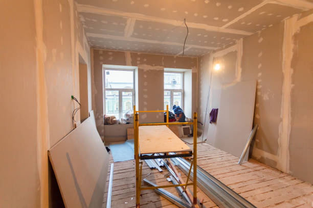 Best Mold Odor Removal Services  in Pecan Acres, TX