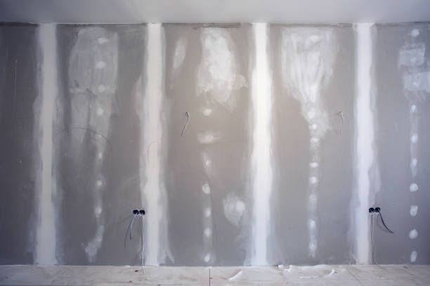 Best Water Damage & Mold Remediation  in Pecan Acres, TX
